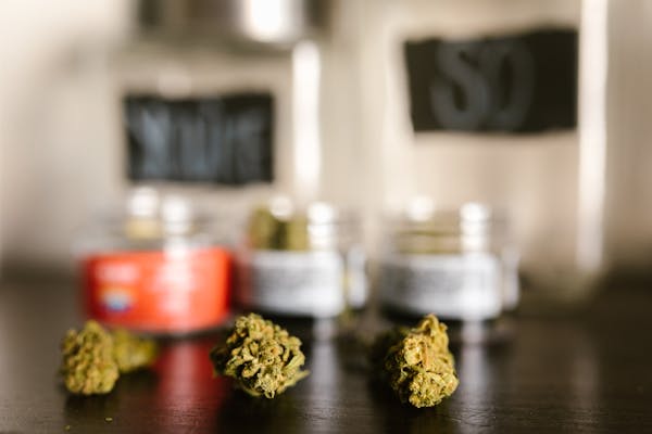 OG Kush CBD